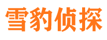 久治市侦探调查公司